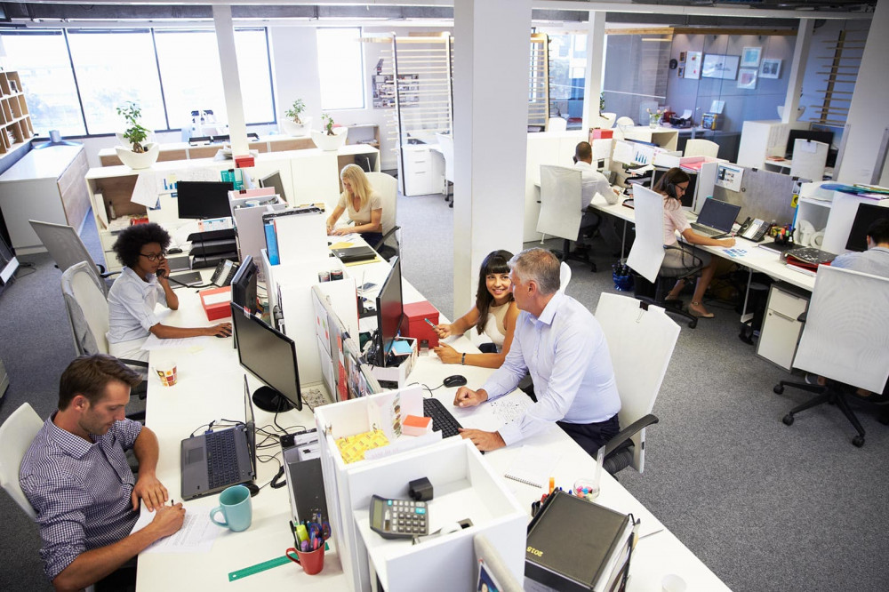Professional services office environment